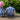 Two blue and white ceramic jars with floral patterns on a woven surface outdoors.