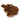Brown textured Highland cow décor on a white background