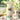 White ceramic pitcher with strawberry design on a table with glasses and plants