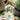 Tea set with strawberry pattern on a tablecloth, next to a potted plant.