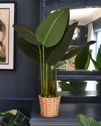 80CM Green Artificial Leaves in a Beige Wicker Pot