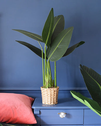 80CM Green Artificial Leaves in a Beige Wicker Pot