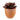 Types of succulents UK: side view of red succulent in terracotta pot
