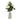 Bouquet of white flowers in a clear glass bottle with a white ribbon on a white background