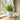 White tulips in a textured white pot on a wooden windowsill with a view of greenery outside.