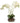 Timeless Lifelike White Orchid in Clear Glass Fishbowl