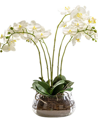 Timeless Lifelike White Orchid in Clear Glass Fishbowl