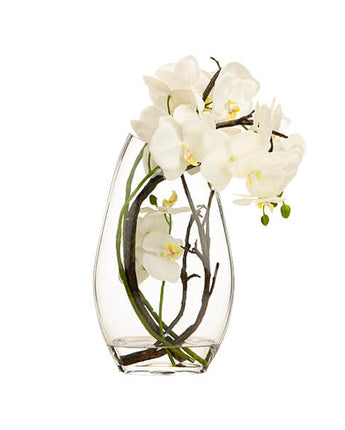 Elegant Bloom White Orchid in Clear Glass Vase