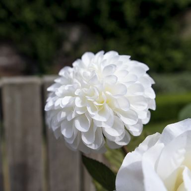 White Artificial Faux Dahlia Flower